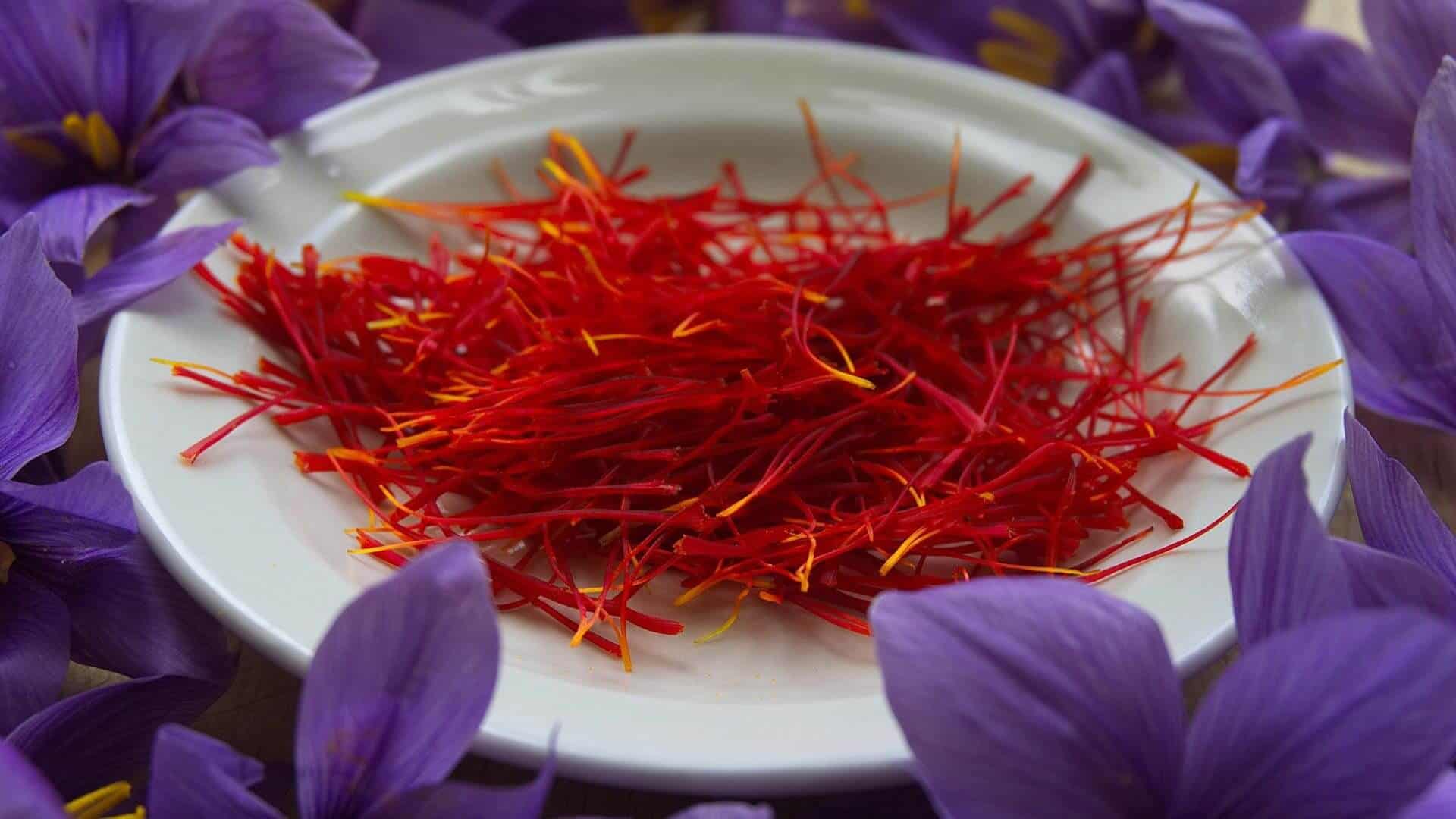 Selecting Reputable Centers: