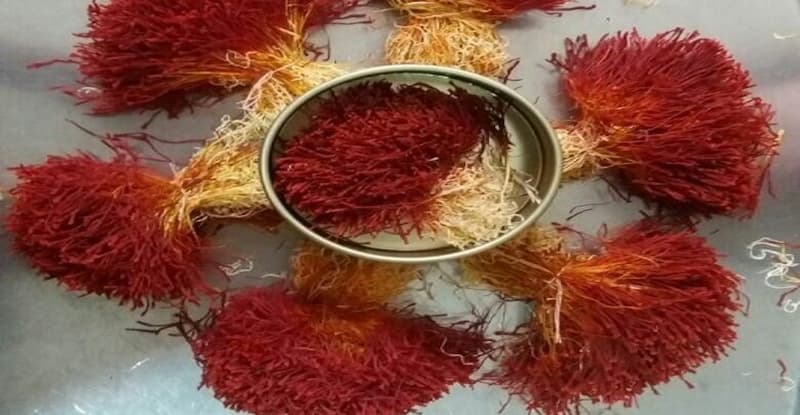 Golden Slumbers: Unveiling the Sleep-Enhancing Potential of Saffron
