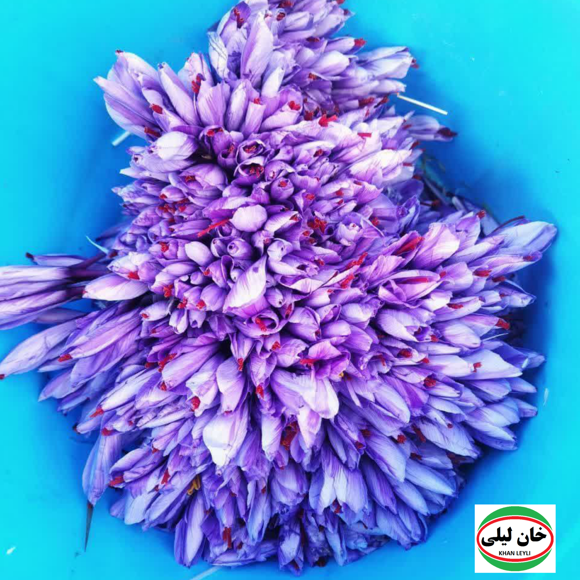 Saffron Currency: Exploring the Varied Valuation Across Continents