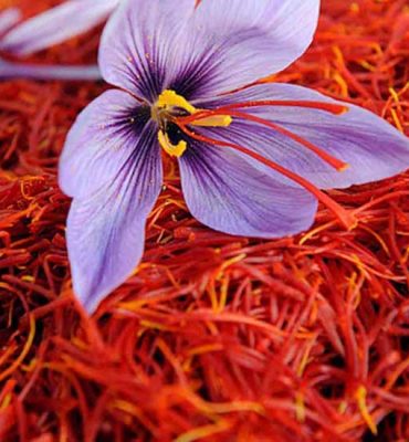 R - 2022-08-14T155649.805